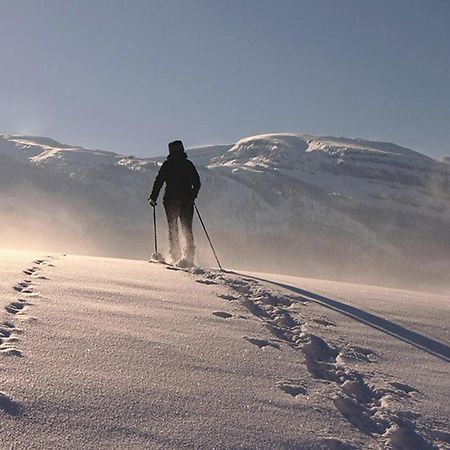 Das Grasberghaus Dış mekan fotoğraf