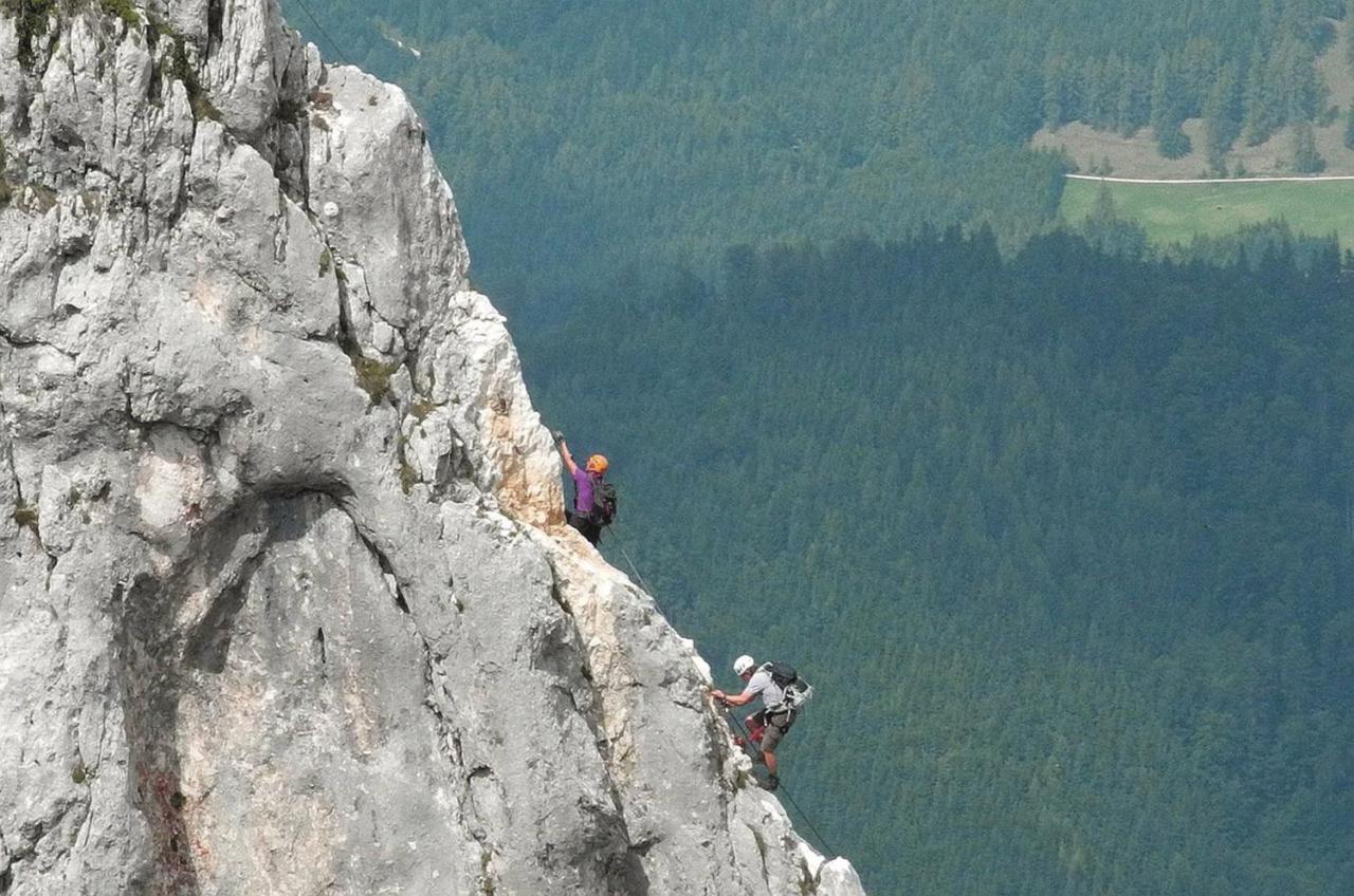 Das Grasberghaus Dış mekan fotoğraf