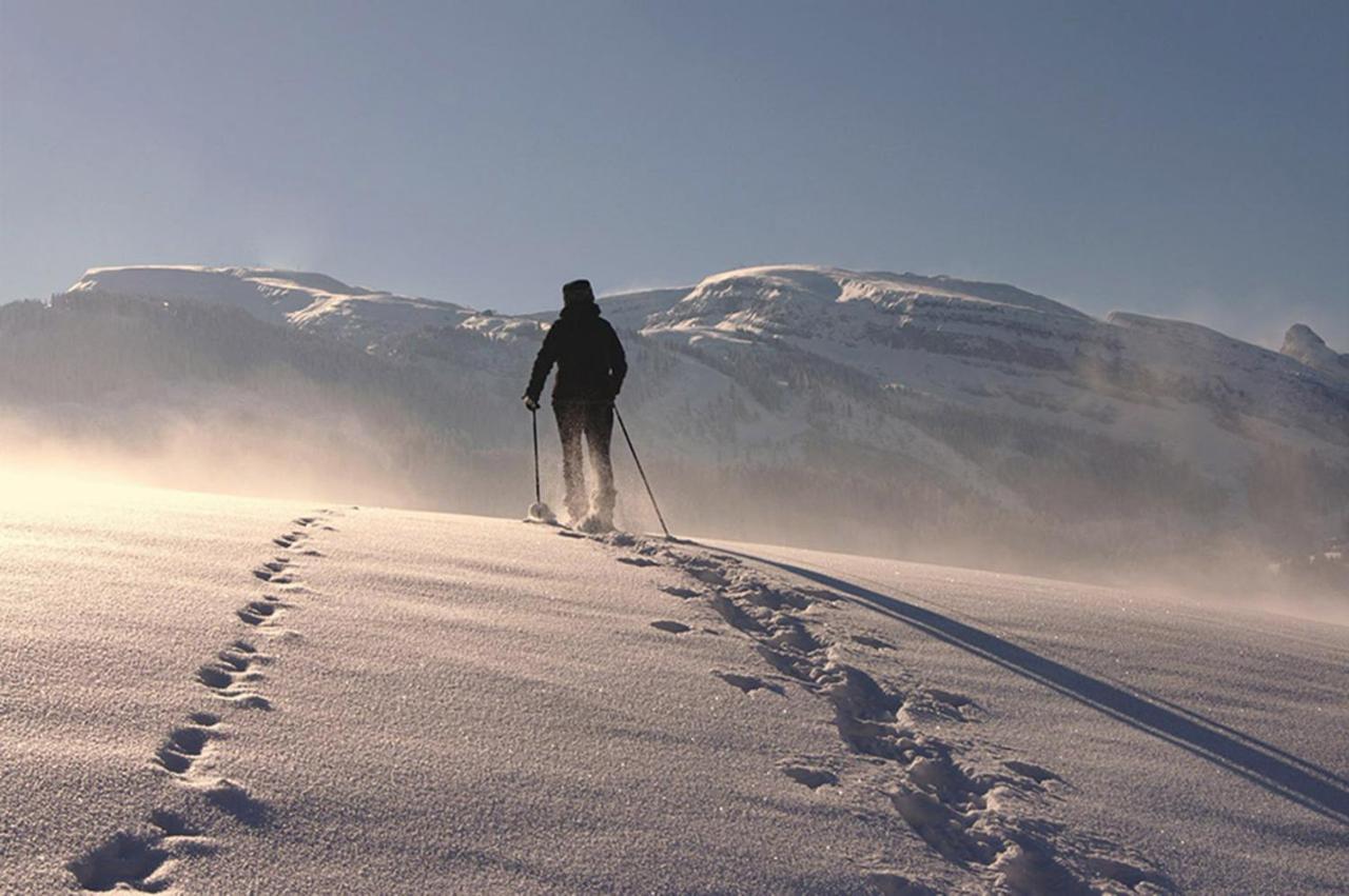 Das Grasberghaus Dış mekan fotoğraf